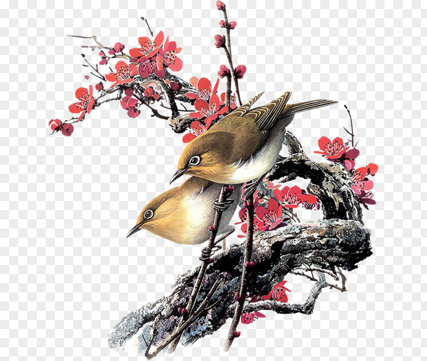 Birds Transparent Bird Watercolor Painting Oil Paint Image PNG
