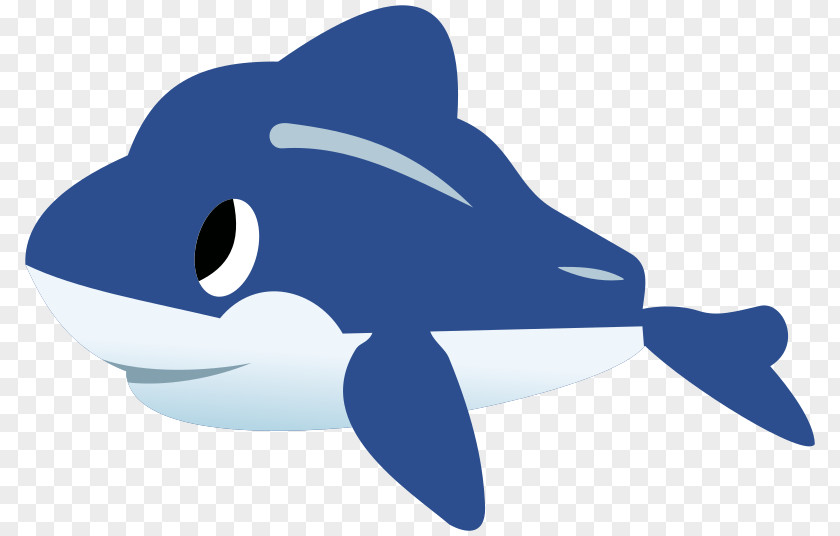 [dolphin Dolphin Clip Art PNG