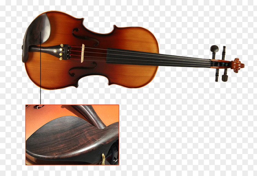 Figure Handmade Violin Detail Bass Viola Fibonacci Number Violone PNG