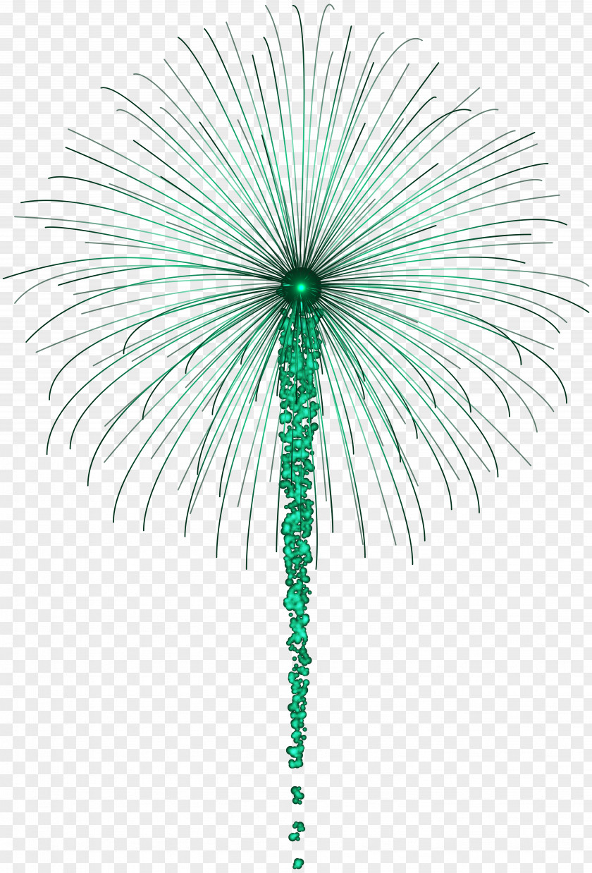 Firework For Dark Images Clip Art Animation The Venerable December Respect PNG