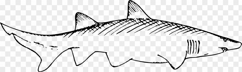 Shark Remora Black And White Marine Mammal Clip Art PNG
