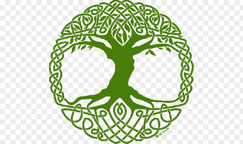 Symbol Tree Of Life Celtic Sacred Trees PNG