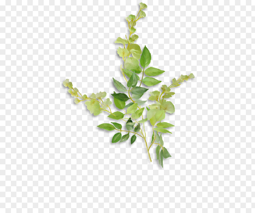 Tine Twig Hoodie T-shirt Flowerpot Plant Stem PNG