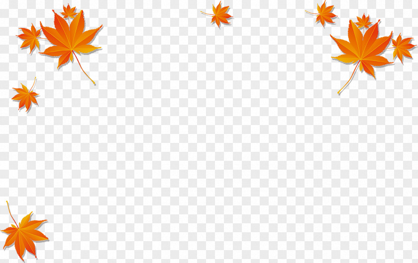 Yellow Maple Leaf Autumn Poster PNG