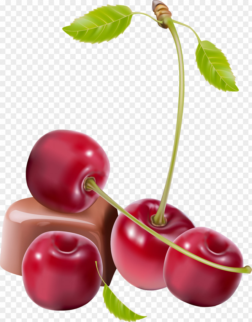 Cherry Sweet Fruit PNG