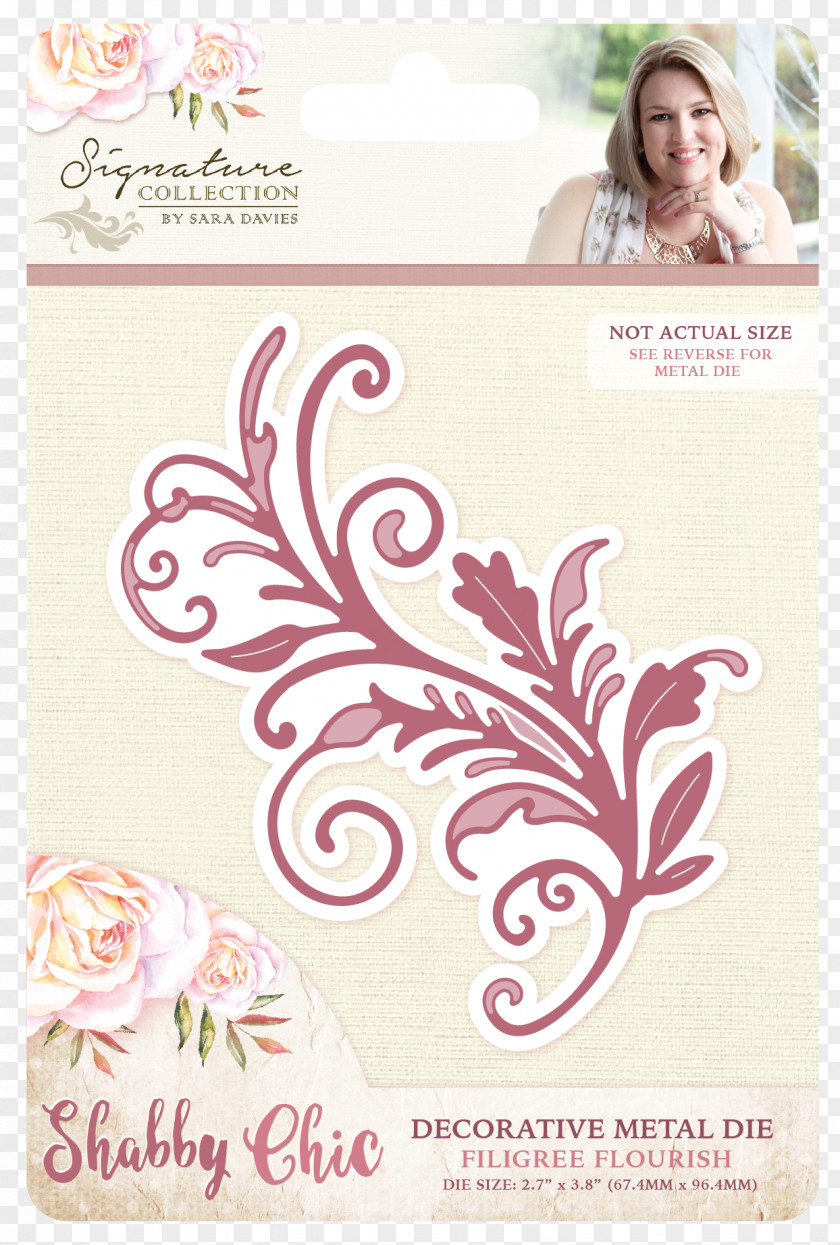 Chic Spy Day Die Cutting Craft Shabby Metal PNG