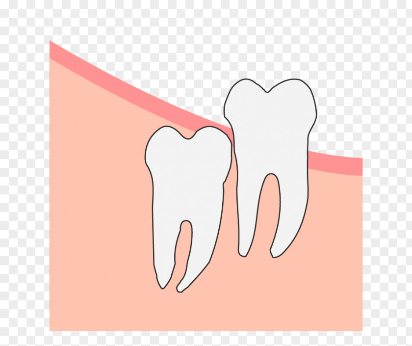 Ear Tooth Hand Model Clip Art Thumb Jaw PNG