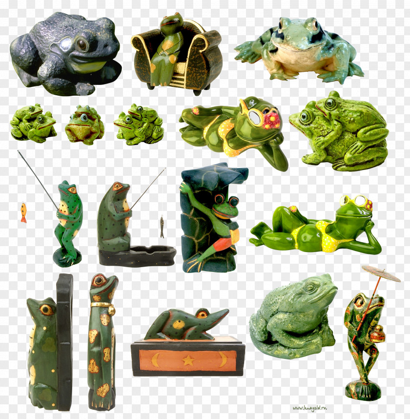 Frog Amphibians Desktop Wallpaper Clip Art PNG