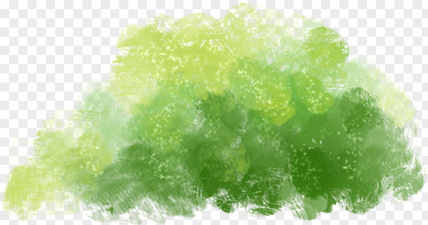 Painted Green Trees PNG green trees clipart PNG