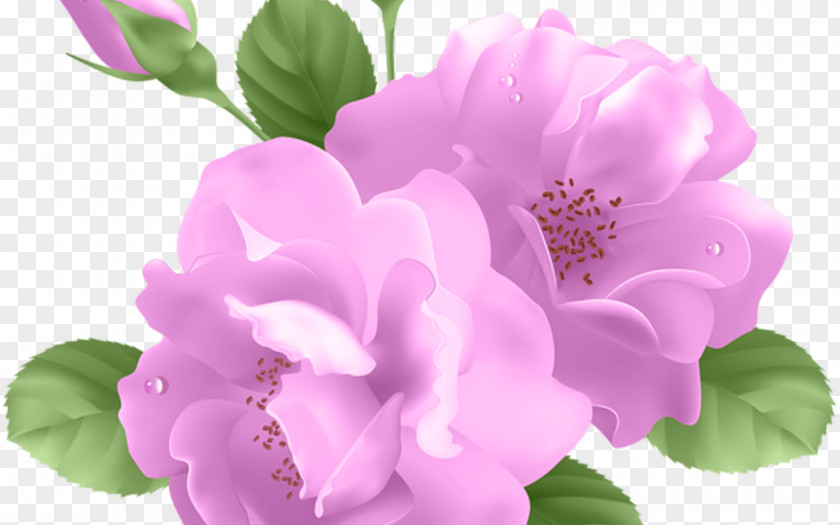 Rose Blue Flower Clip Art PNG