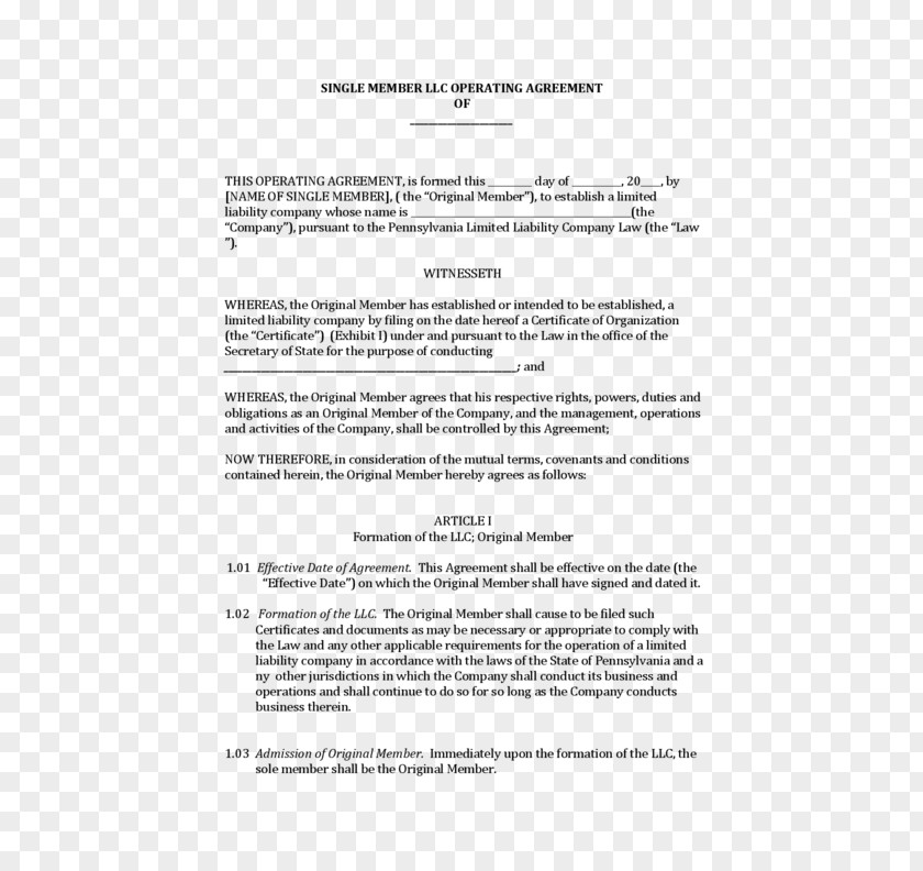 Business Operating Agreement Limited Liability Company Articles Of Organization Contract Delaware PNG