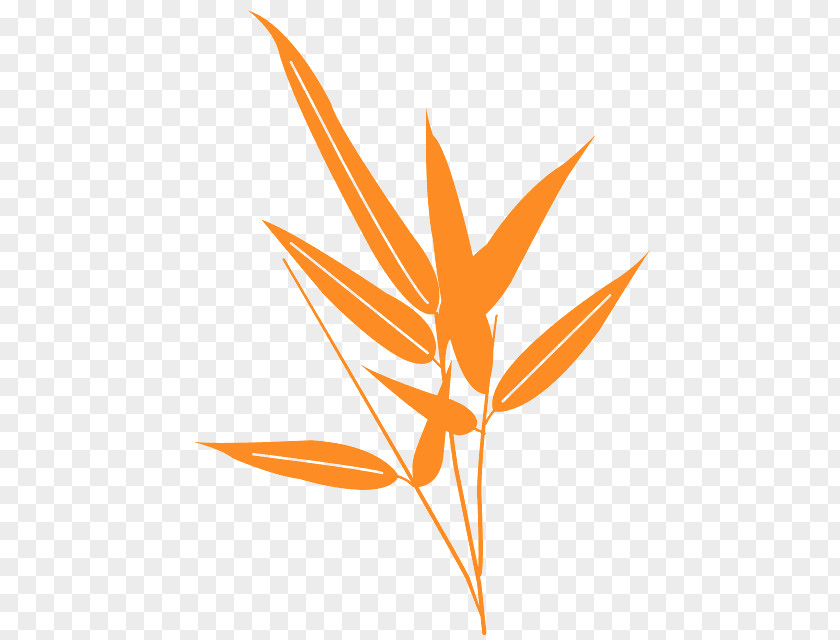 Logo Flower Bird Of Paradise PNG