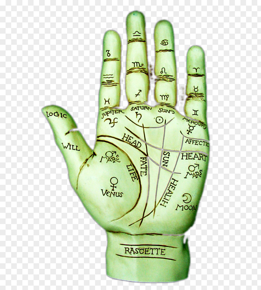 Palm Reading Test Finger Hand Model Glove Baseball PNG