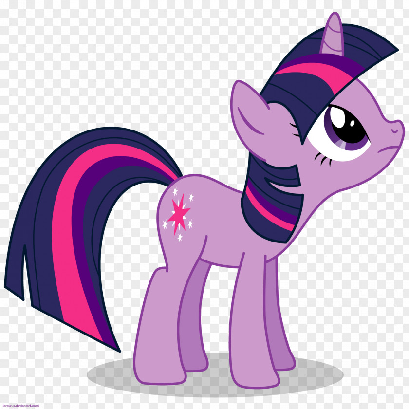 Sparkle Twilight Rainbow Dash Pony Rarity Applejack PNG