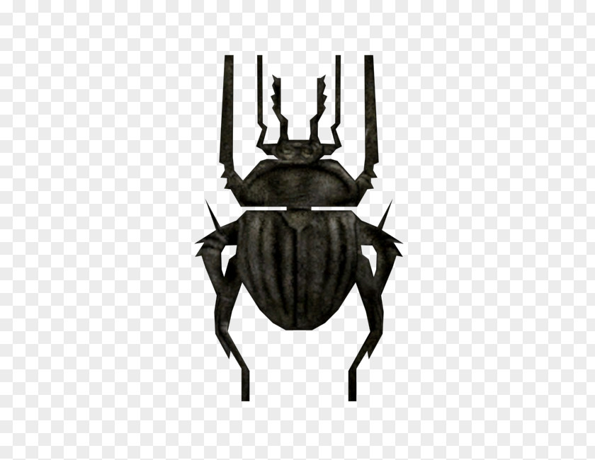 Beetle Japanese Rhinoceros Beetles Scarab Insect PNG