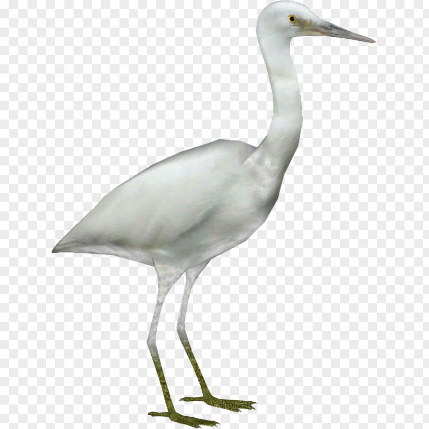 Egrethd Great Egret Crane Heron Bird PNG