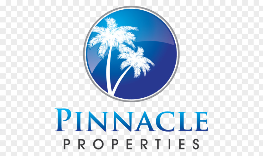 Pinnacle Car Care Inc Investment Money Service Mortgage Loan PNG