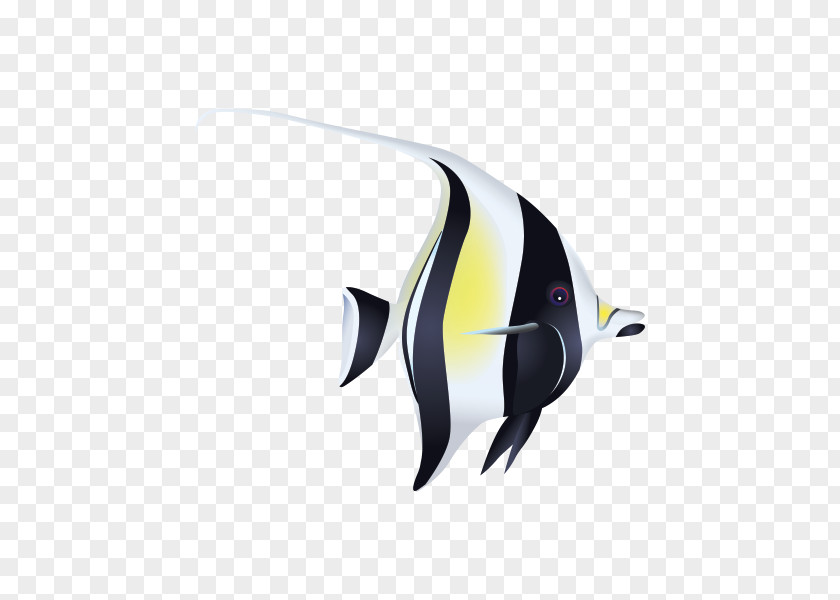 Pomacanthidae Butterflyfish Penguin Cartoon PNG