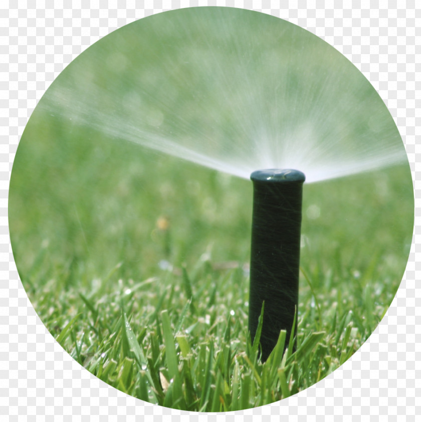 Water-sprinkling Festival Irrigation Sprinkler Fire System Lawn PNG