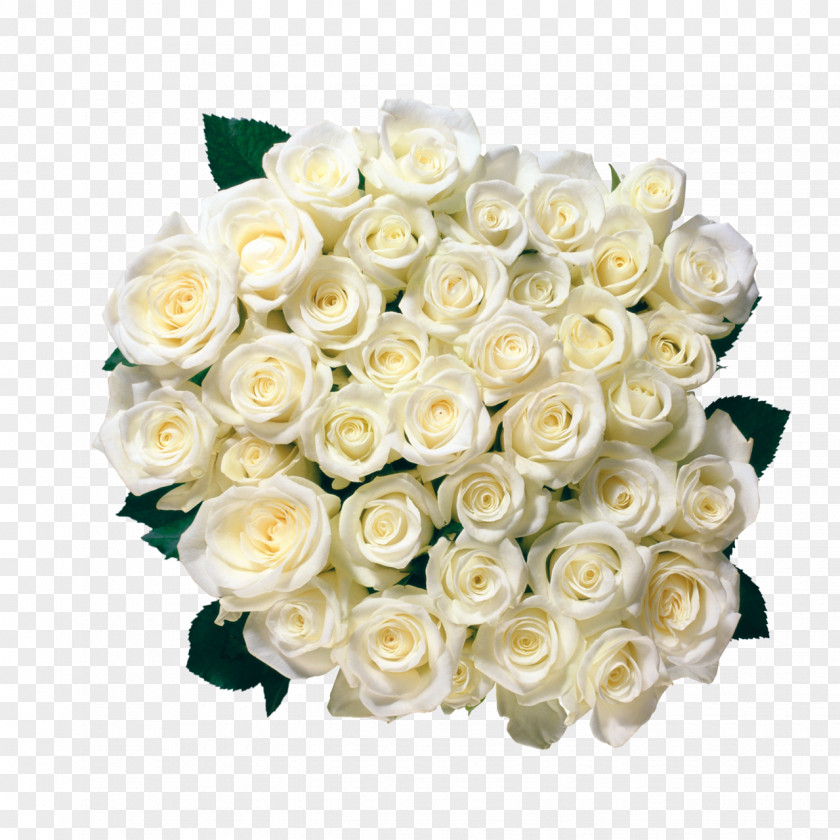 White Rose Flower Bouquet Clip Art PNG