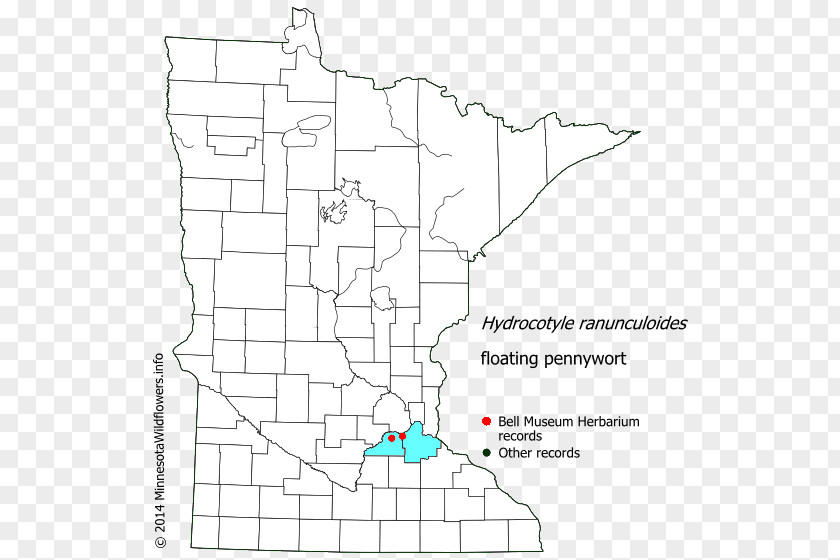 Floating Petals Douglas County, Minnesota Carver Murray Steele Lake PNG