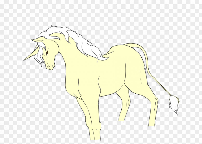 Hand Drawn Unicorn Mustang Foal Colt Stallion Pony PNG