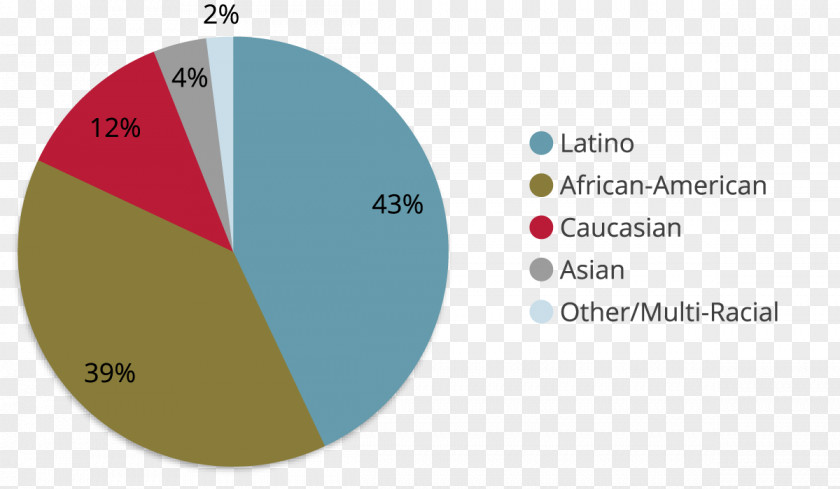 Oil Pie Chart Food Vegetable Cooking Oils PNG