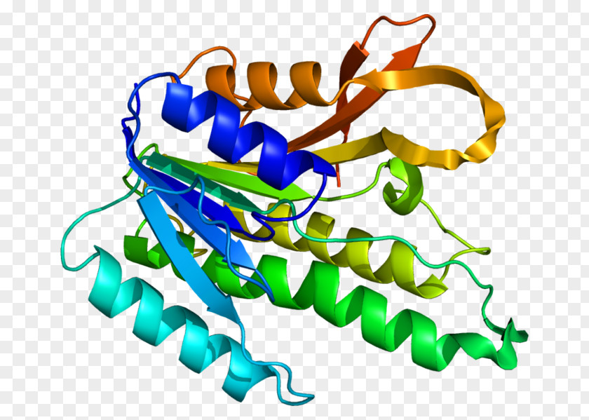 Receptor Graphic QDPR Phenylalanine Hydroxylase Gene Tyrosine Tetrahydrobiopterin PNG