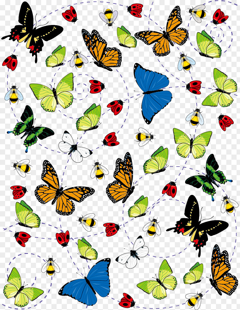 Vector Butterfly Insect Illustration PNG
