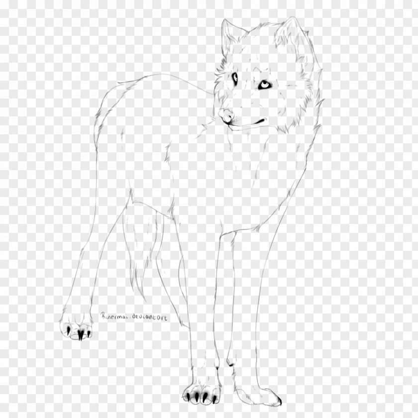 Based Line Drawing Whiskers Cat Art Paw Sketch PNG