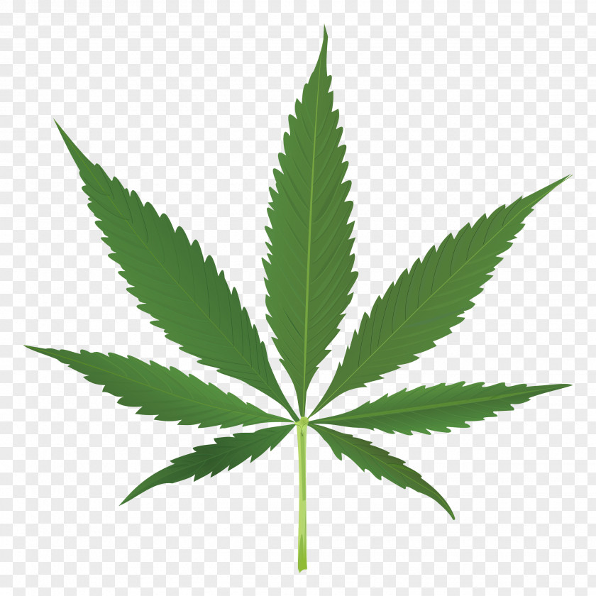 Cannabis Leaf Joint Clip Art PNG