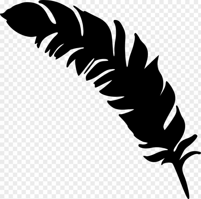 Feather Drawing Clipart Clip Art Silhouette Image PNG