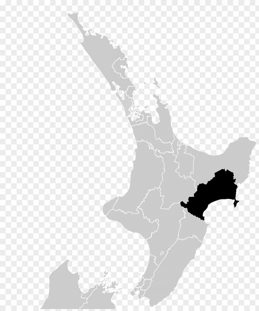 Map New Zealand Vector Graphics Royalty-free Illustration PNG