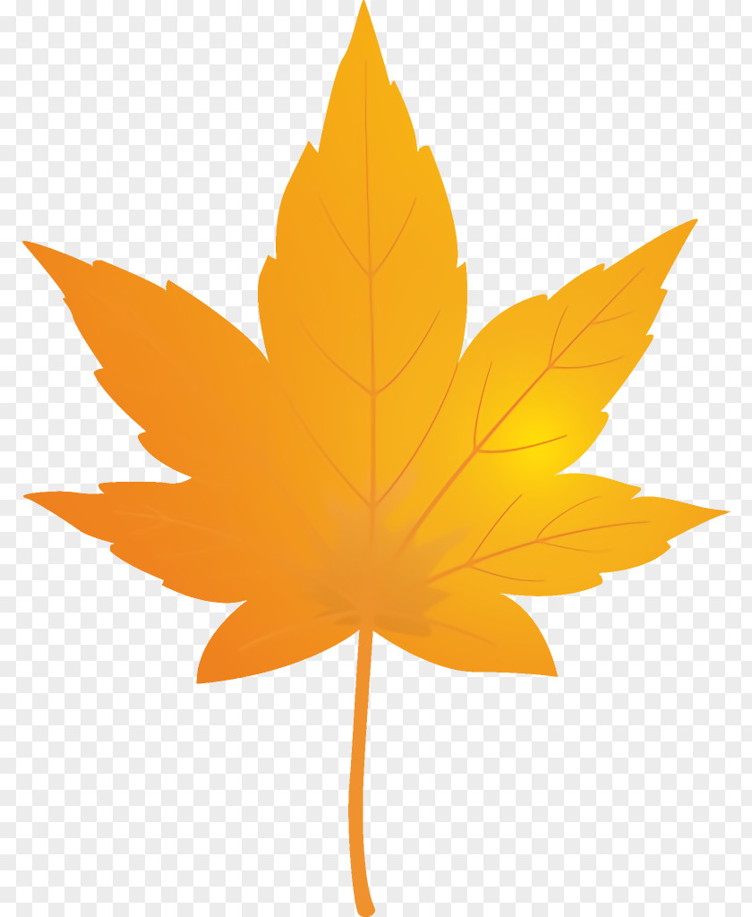 Maple Plane Leaf Autumn Yellow PNG