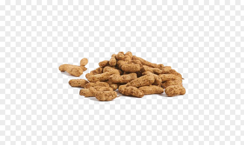 Peanut Free Buckle PNG