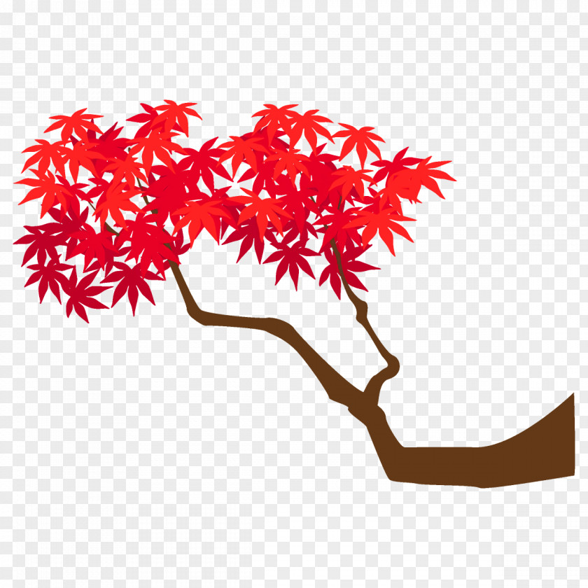 Plant Stem Twig Maple Branch Leaves Autumn Tree PNG