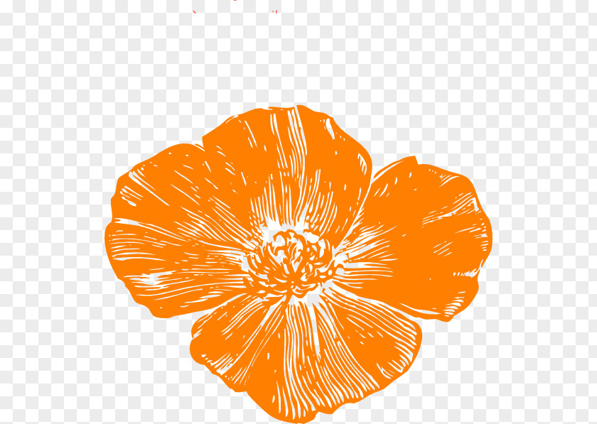Poppy Vector Remembrance California Clip Art PNG