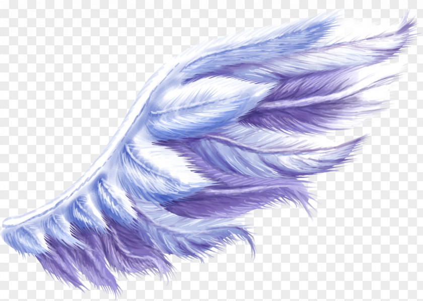 Twine Purple Animals Wing Feather Clip Art PNG