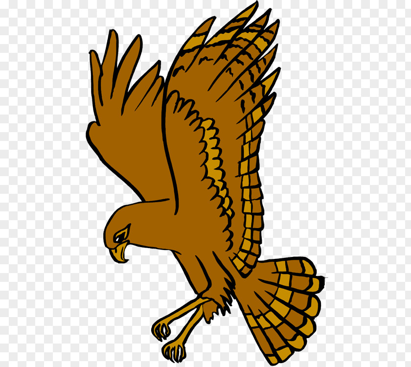 West Delaware High School Hawk National Secondary Clip Art PNG