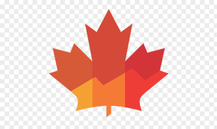 Canada National Flag Of Day Maple Leaf Vector Graphics PNG