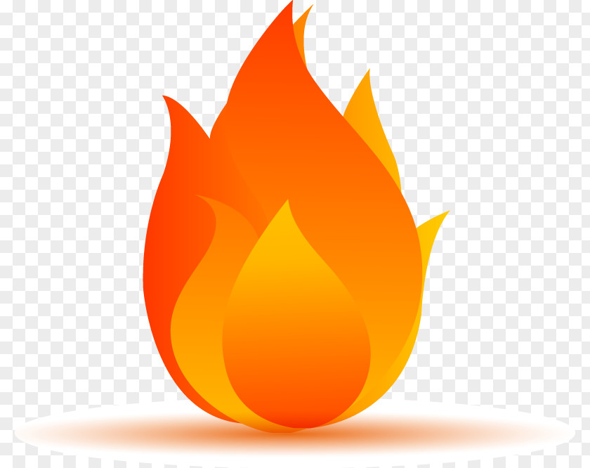 Cartoon Flame Vector Elements Fire PNG