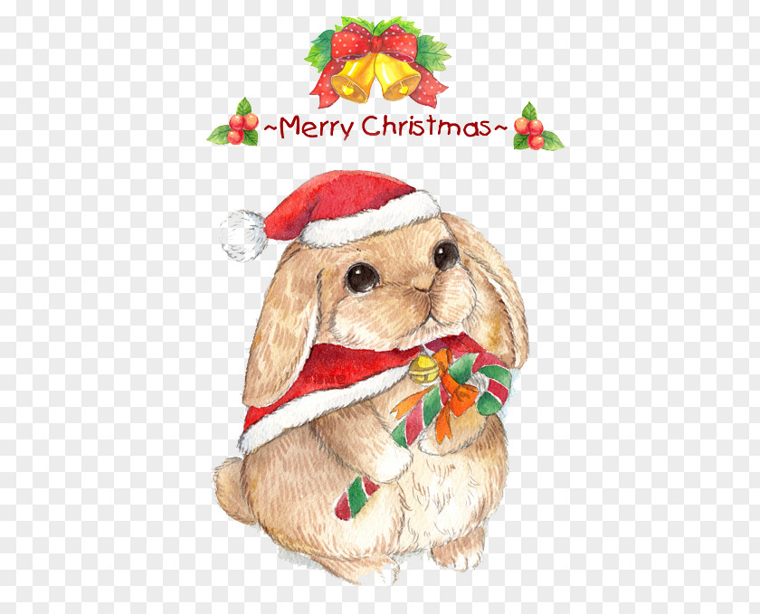Cartoon Rabbit Christmas Eve Cuteness PNG