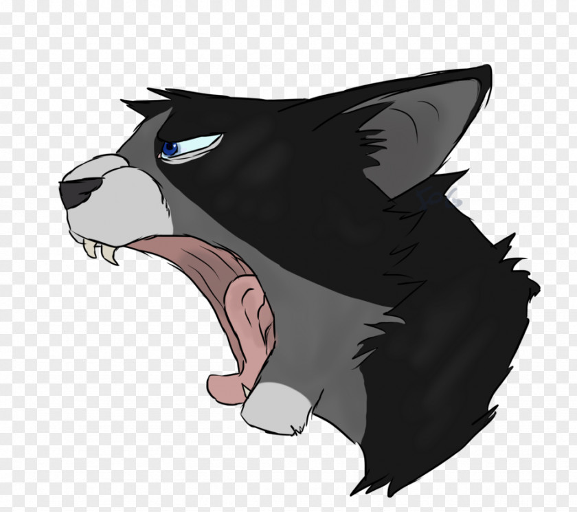 Cat Whiskers Dog Illustration Mammal PNG