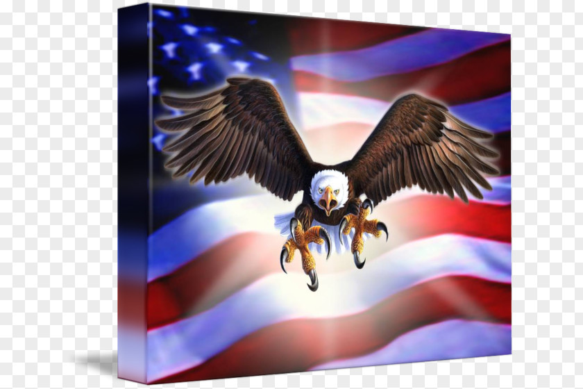 Eagle Gallery Wrap Canvas Art PNG