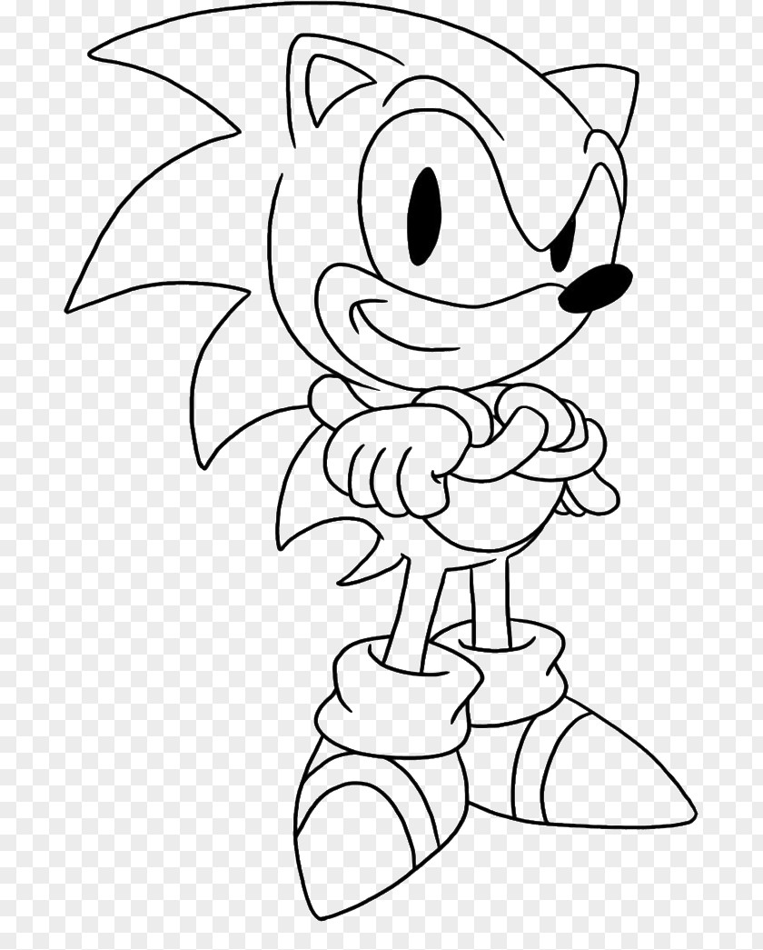 Gambar Sonic Racing Chaos Amy Rose Colors Shadow The Hedgehog Colouring Pages PNG
