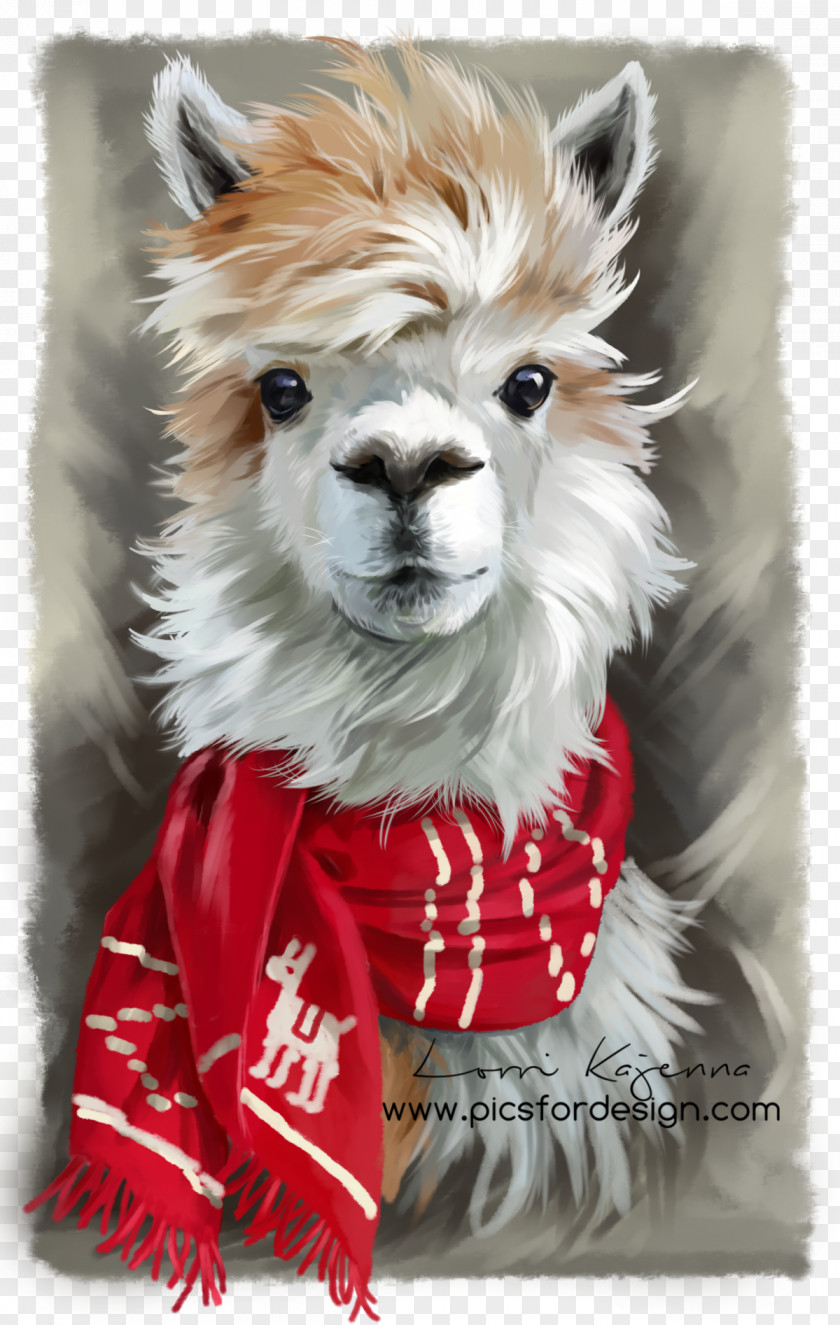 T-shirt Alpaca Llama Clothing Vicuña PNG