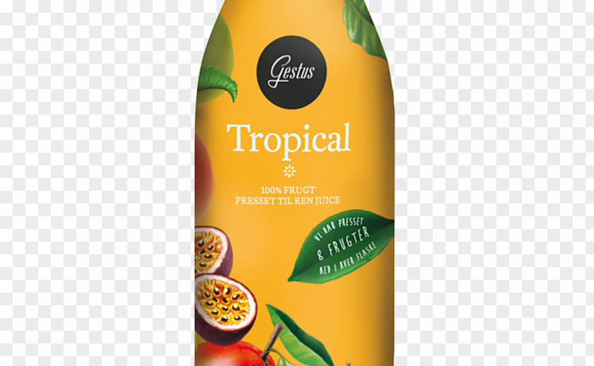 Tropical Juice Orange Drink Liqueur Liquid PNG