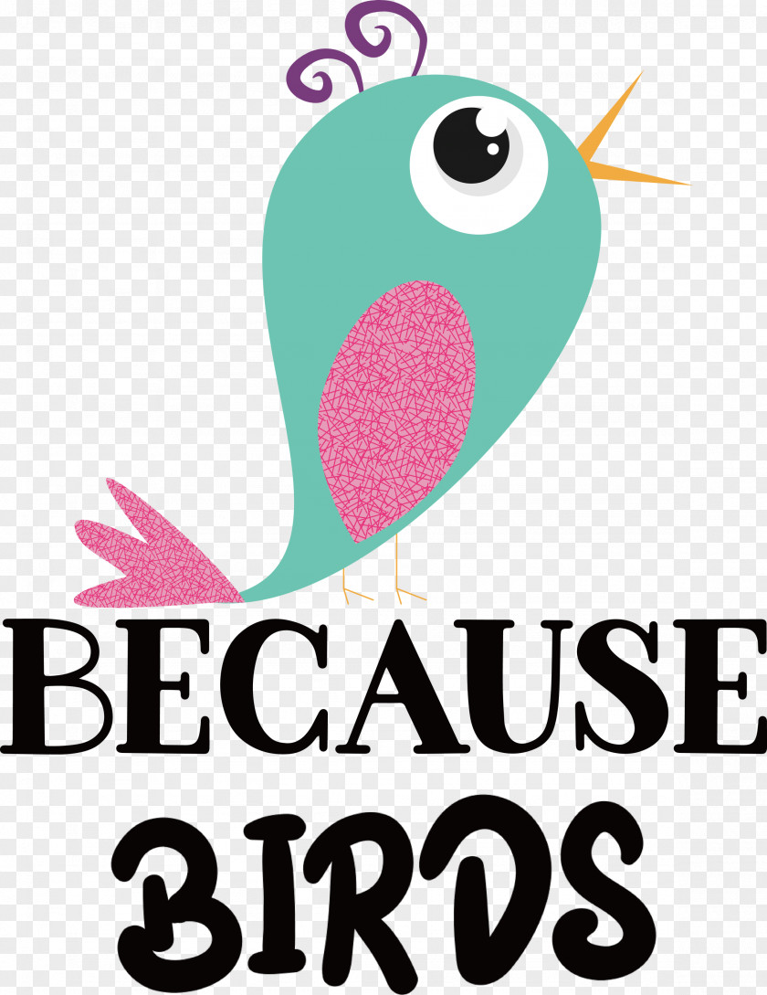 Because Birds Bird Animal PNG