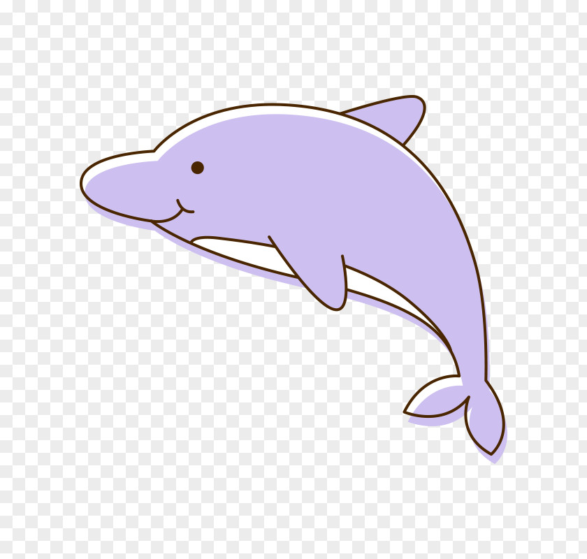 Dolphin Tucuxi Common Bottlenose Cartoon Porpoise Clip Art PNG