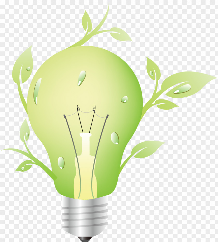Green Energy-saving Bulbs Environmentally Friendly Ecology Icon PNG
